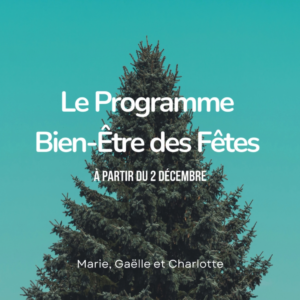 Le programme bien-être des fêtes